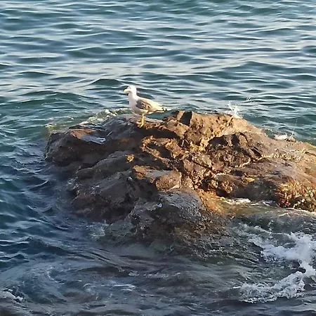 Appartamento Rapallo Suite