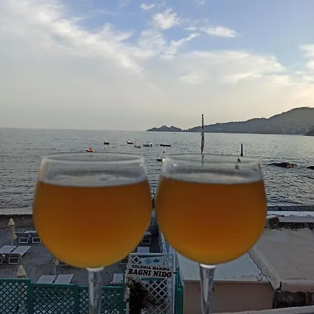 Rapallo Suite Апартаменты *