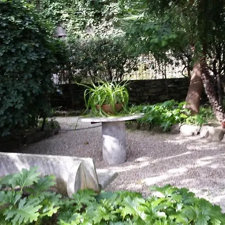 Apartment Rapallo Suite